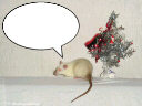 E-card